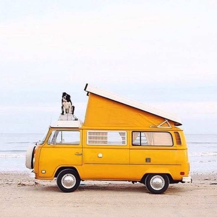 Wishing I was still on holidays 🏝🏝