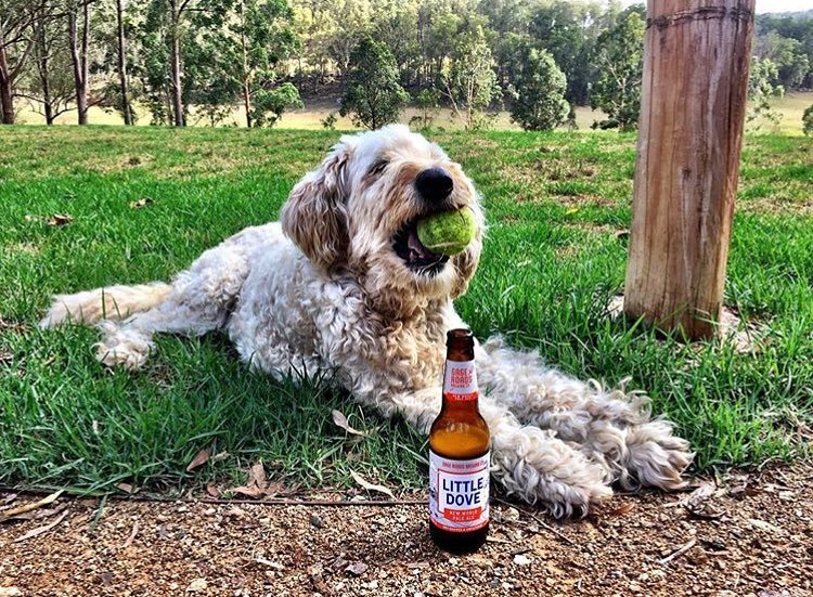 Monday’s with the best 🐶